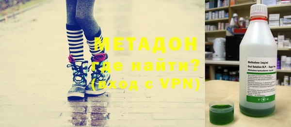 индика Алексин