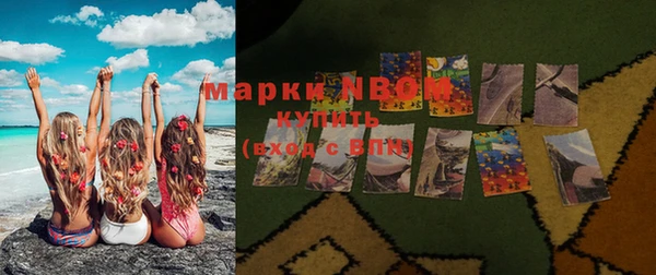 индика Алексин